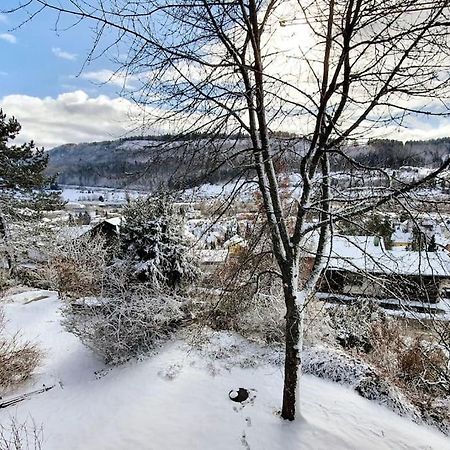Studiowohnung Schwabenalb Mit Panoramablick Альбштадт Экстерьер фото